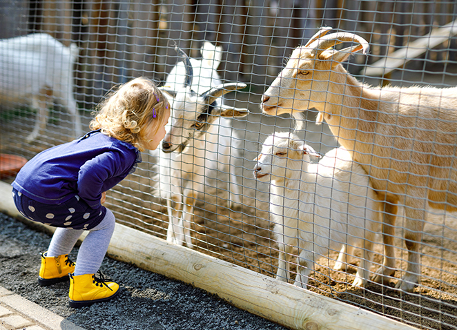 Nombreuses activités à faire en famille